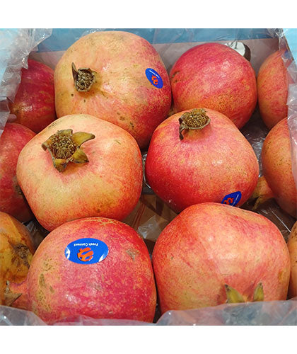 انار تازه/ محصول مصر/ کارتن 12 عددی