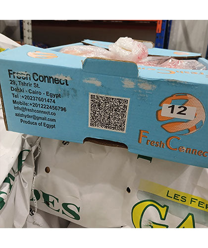 انار تازه/ محصول مصر/ کارتن 12 عددی