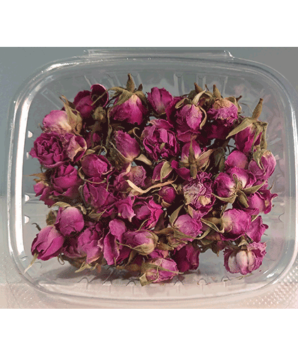 Rose Buds