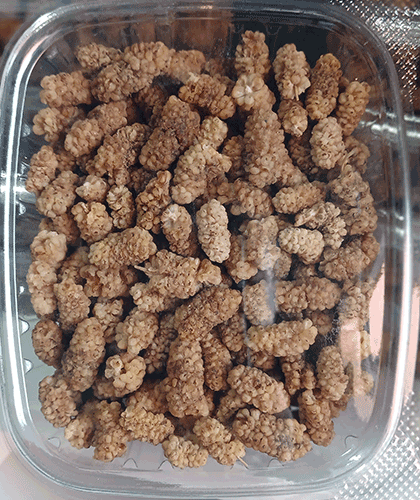 Dried Berries